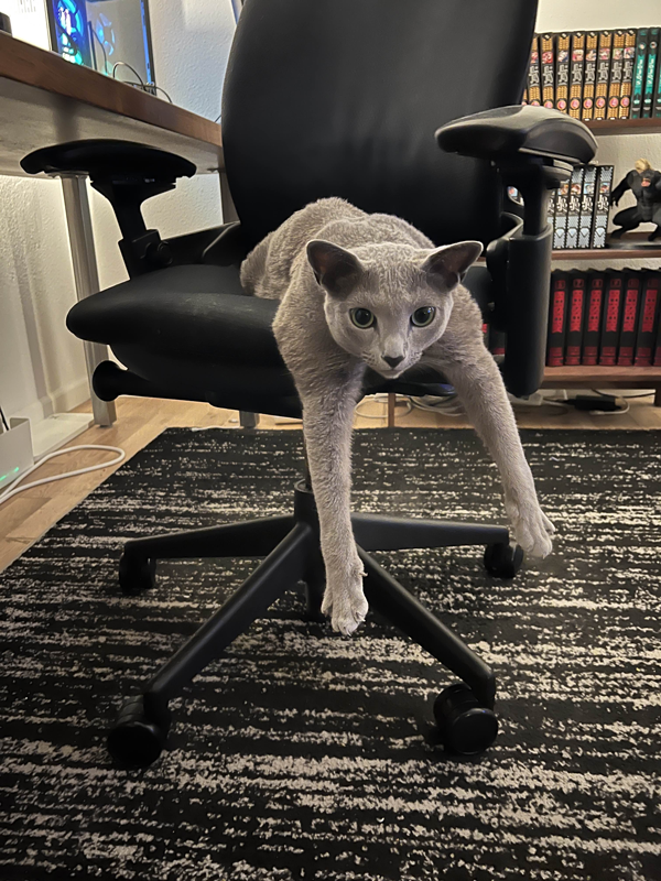Earl flopped in a desk chair