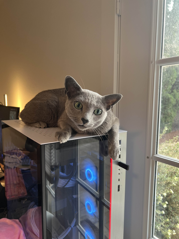 Earl on computer