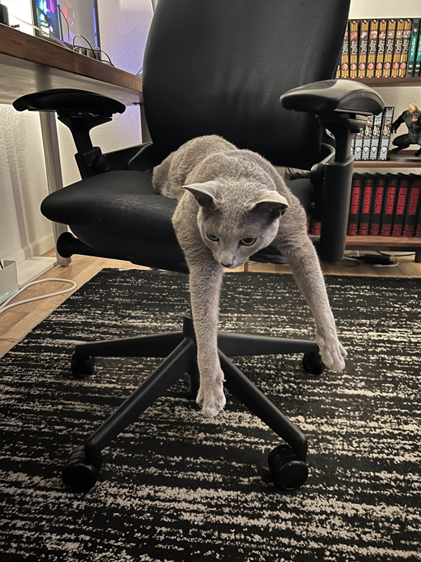 Earl flopped in a desk chair