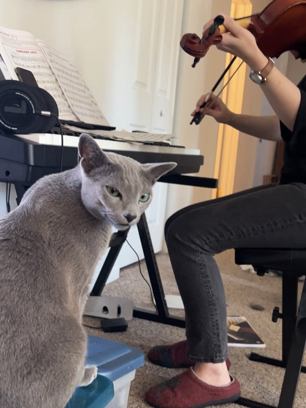 Earl reacts to amateur violin playing