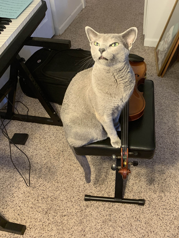 Earl sits with violin