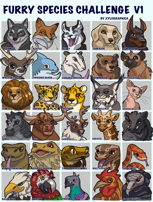Furry Challenge - check out @Xylographica