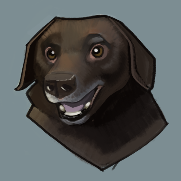 Dog who is a friend of mine, Kentucky