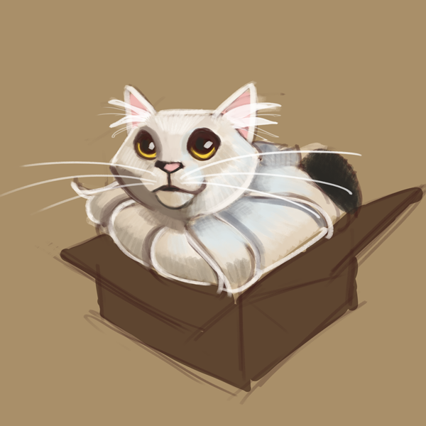 My dear friend's cat, Pickle